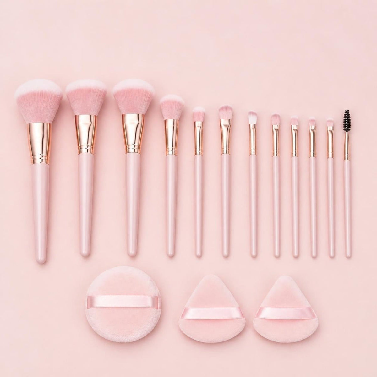 All 13 brushes and puffs